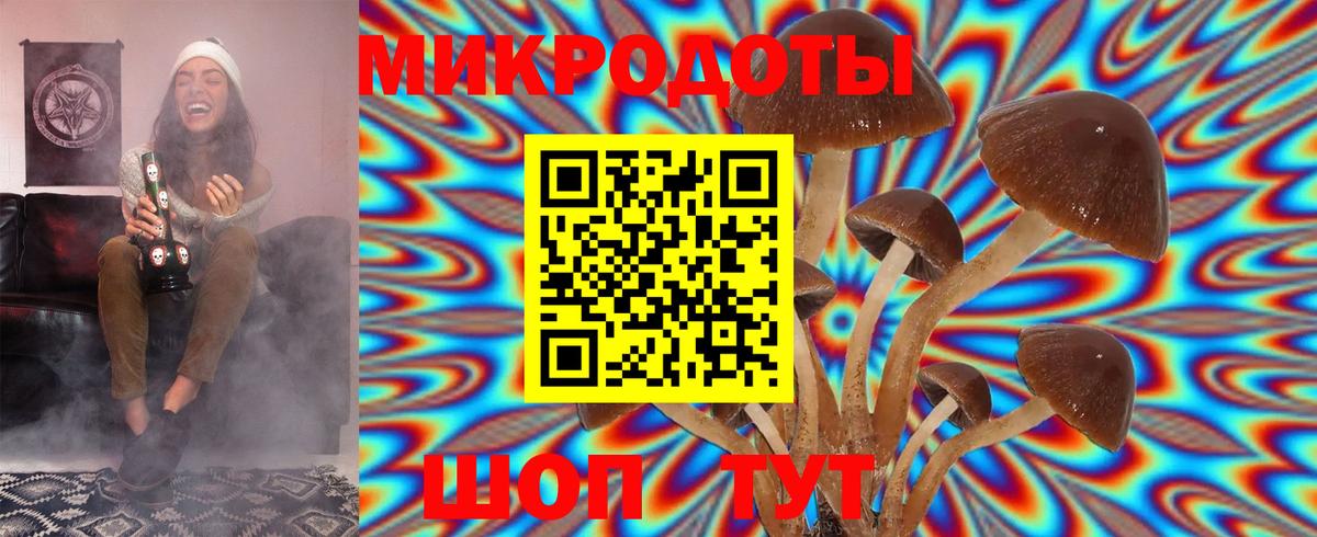закладка  Вход с VPN  Качканар  Псилоцибиновые грибы GOLDEN TEACHER 