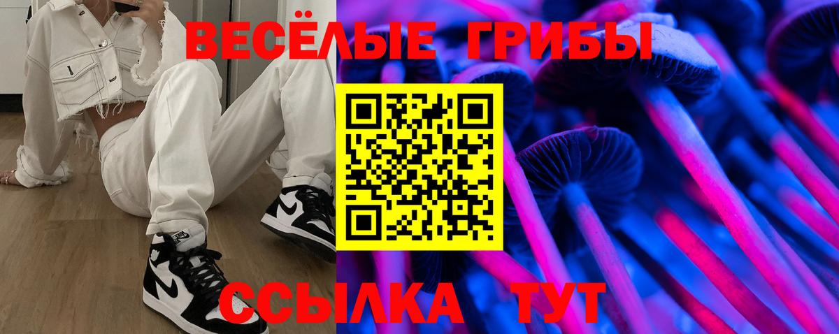 Галлюциногенные грибы Psilocybe Качканар